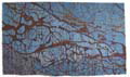 04 Disturbed Terrain